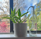 The Wicking Tower - Bordeaux Model