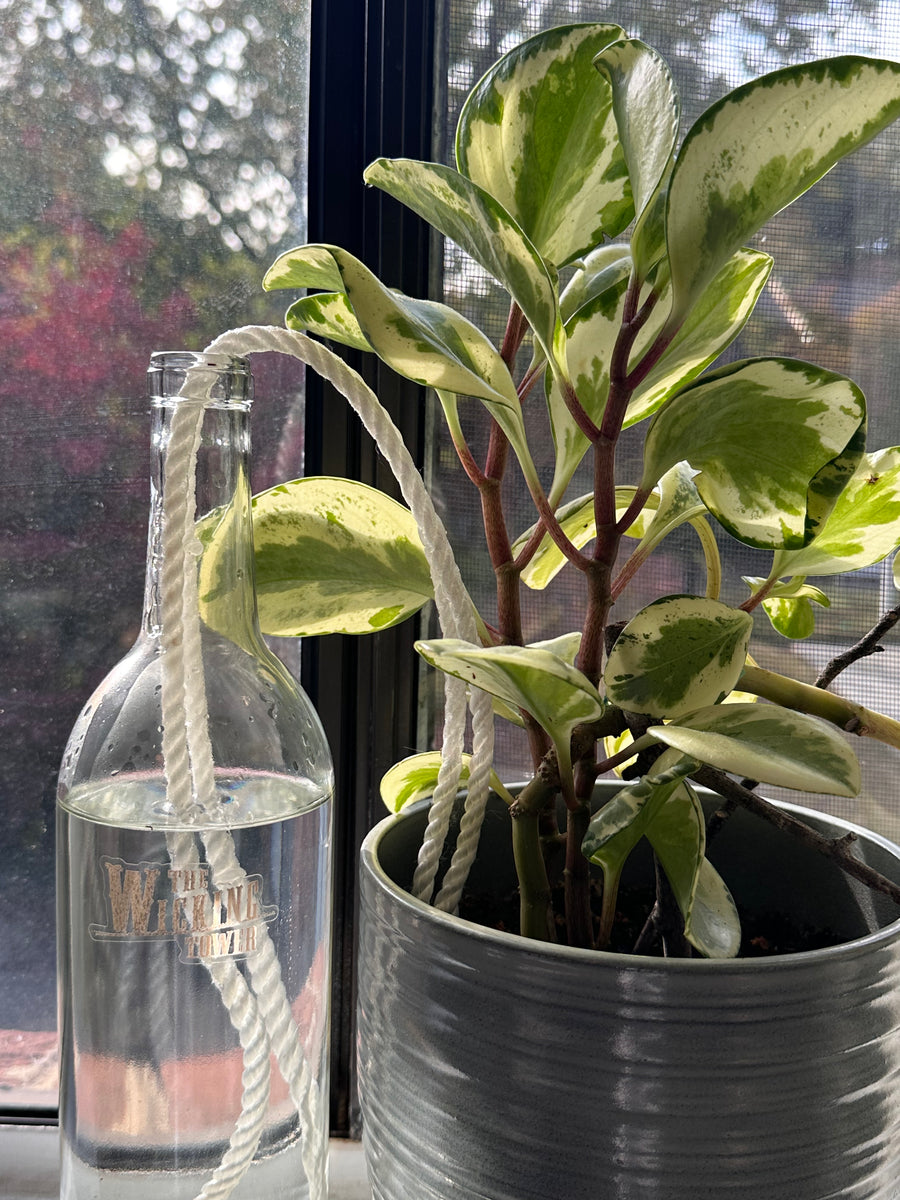 The Wicking Tower - Bordeaux Model