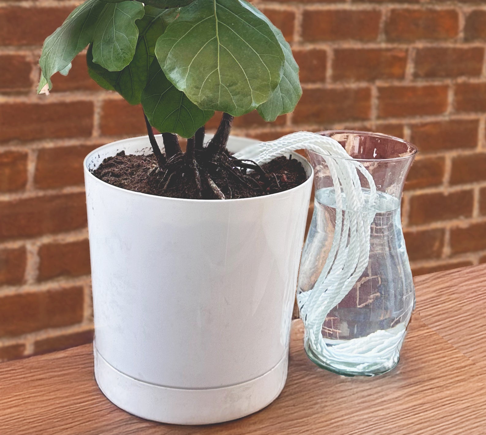 The Wicking Tower - Spring Vase Model