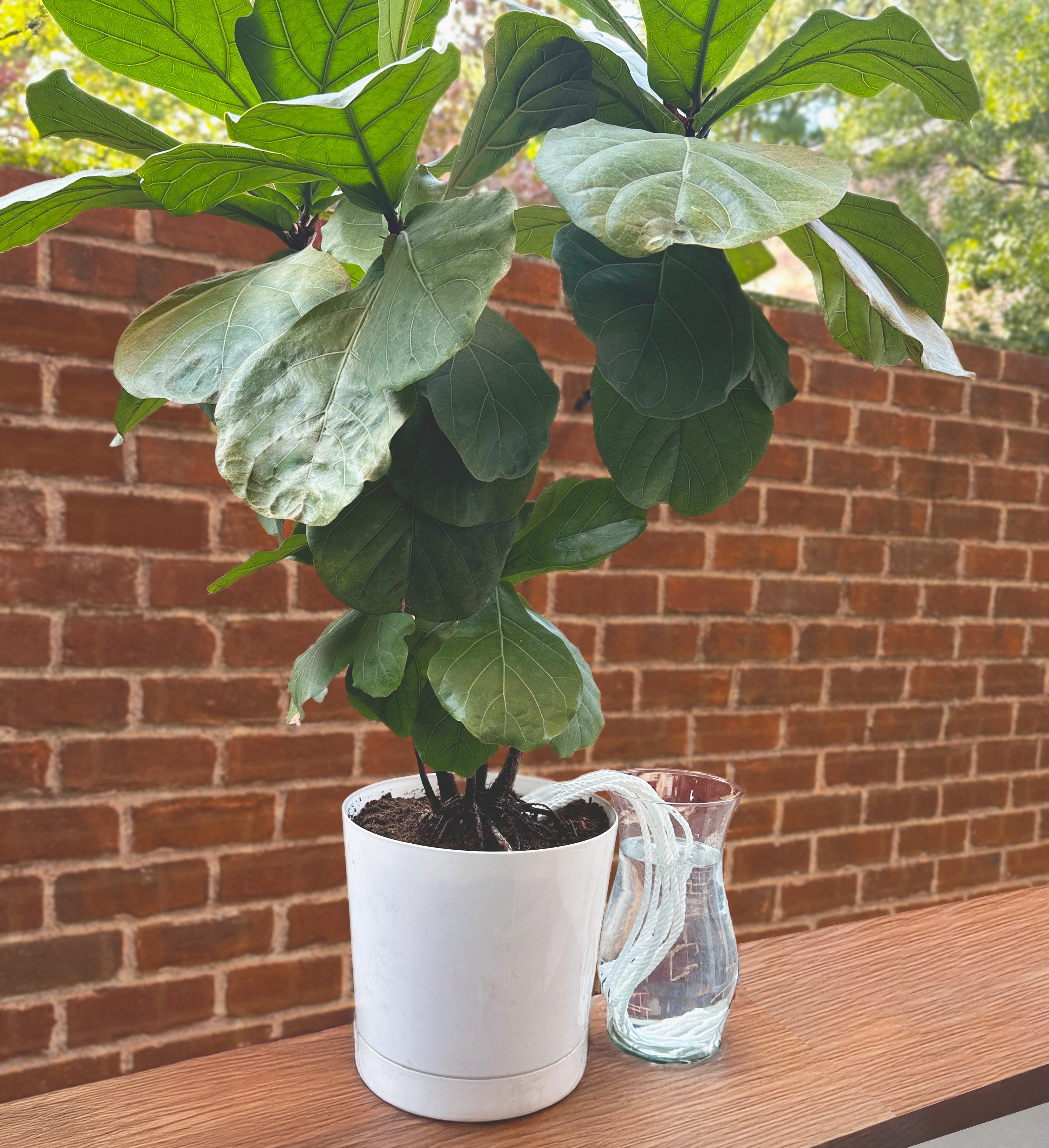 The Wicking Tower - Spring Vase Model