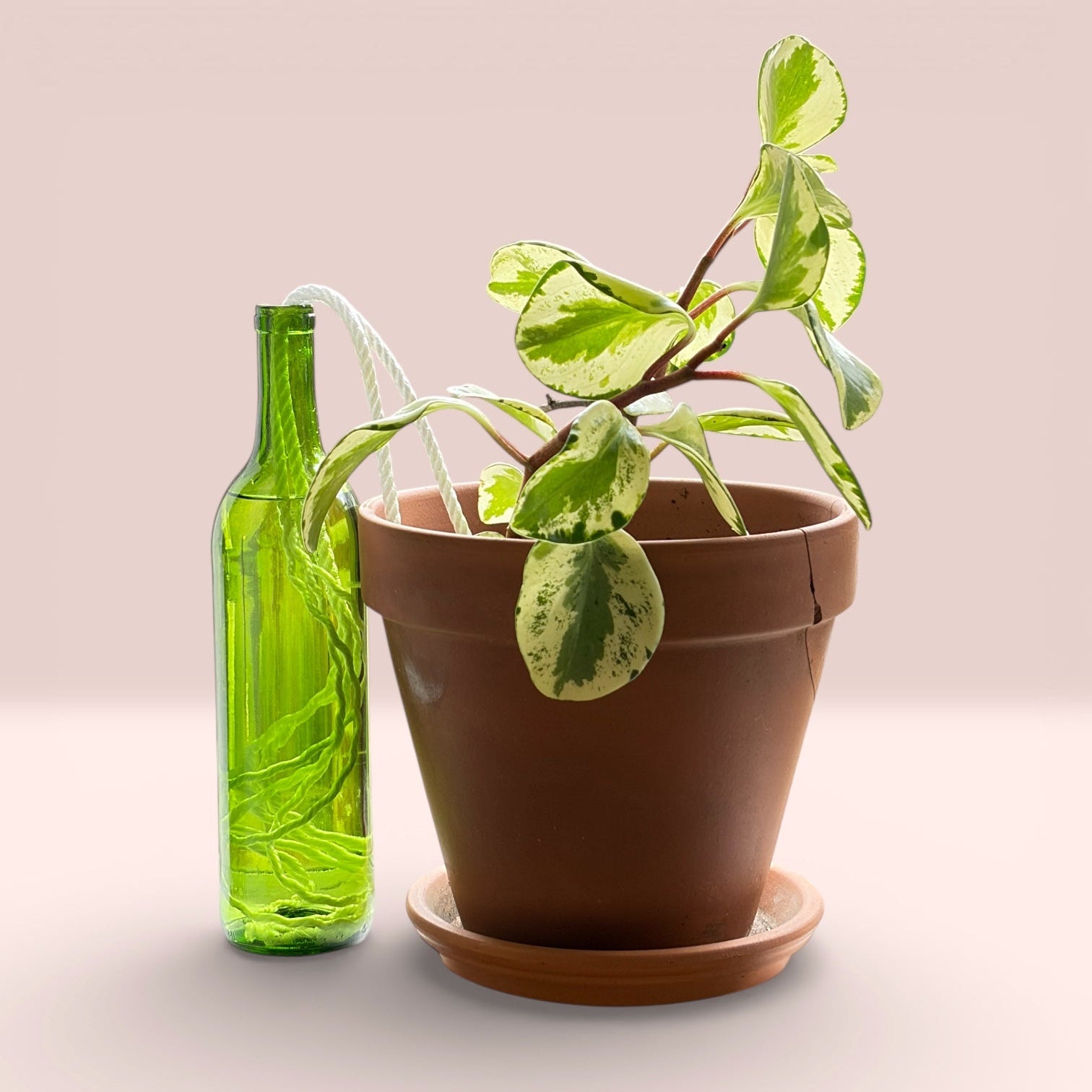 The Wicking Tower - Bordeaux Model