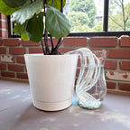 The Wicking Tower - Spring Vase Model